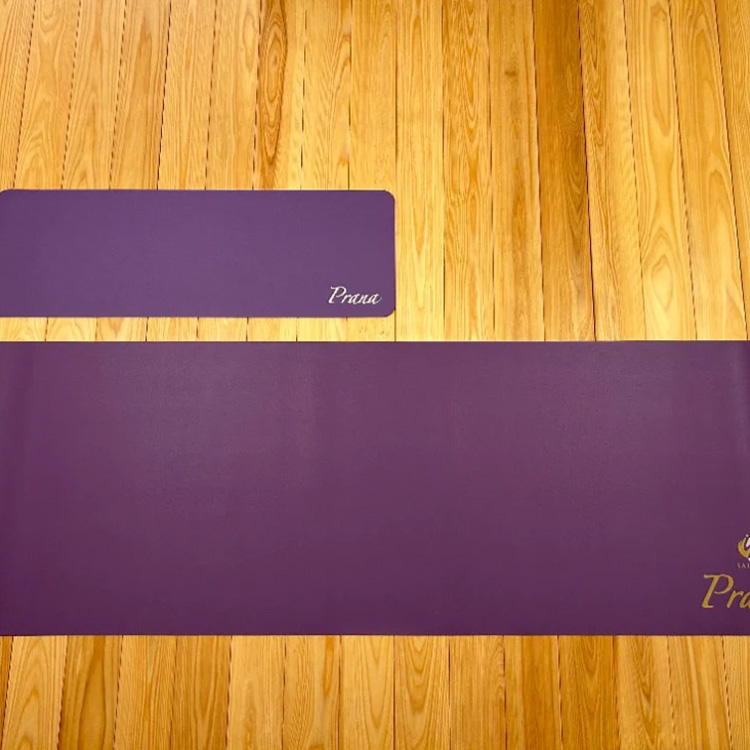 メディカルプラーナ写真2