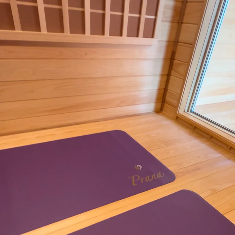 メディカルプラーナ写真3